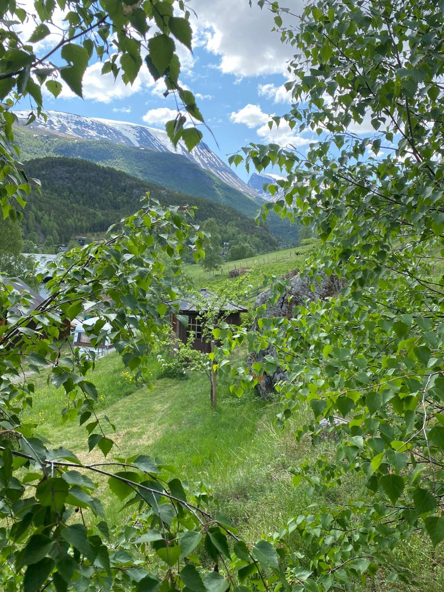 Villa Galde Uppigard à Boverdalen Extérieur photo